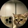Ari Kytsya avatar